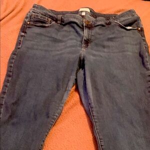 Lane Bryant Blue Skinny Jeans with Faded Wash